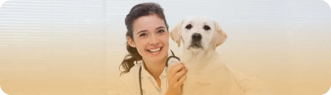 Área do Veterinário