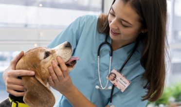 Zoonose: o que é e como evitar que seu pet se contamine?