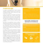 FV 98 – Firocoxibe