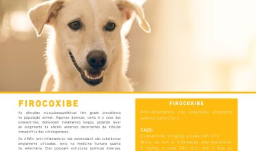 FV 98 – Firocoxibe