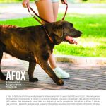 FV 134 – AFOX