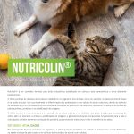 FV 147 – Nutricolin Pet