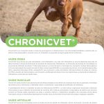 FV 182 – ChronicVet