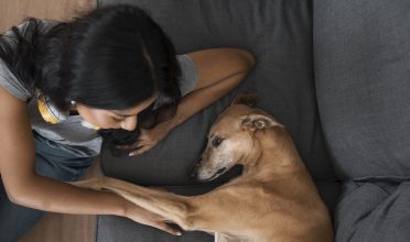 Dirofilariose: como tratar a doença do “verme do coração”