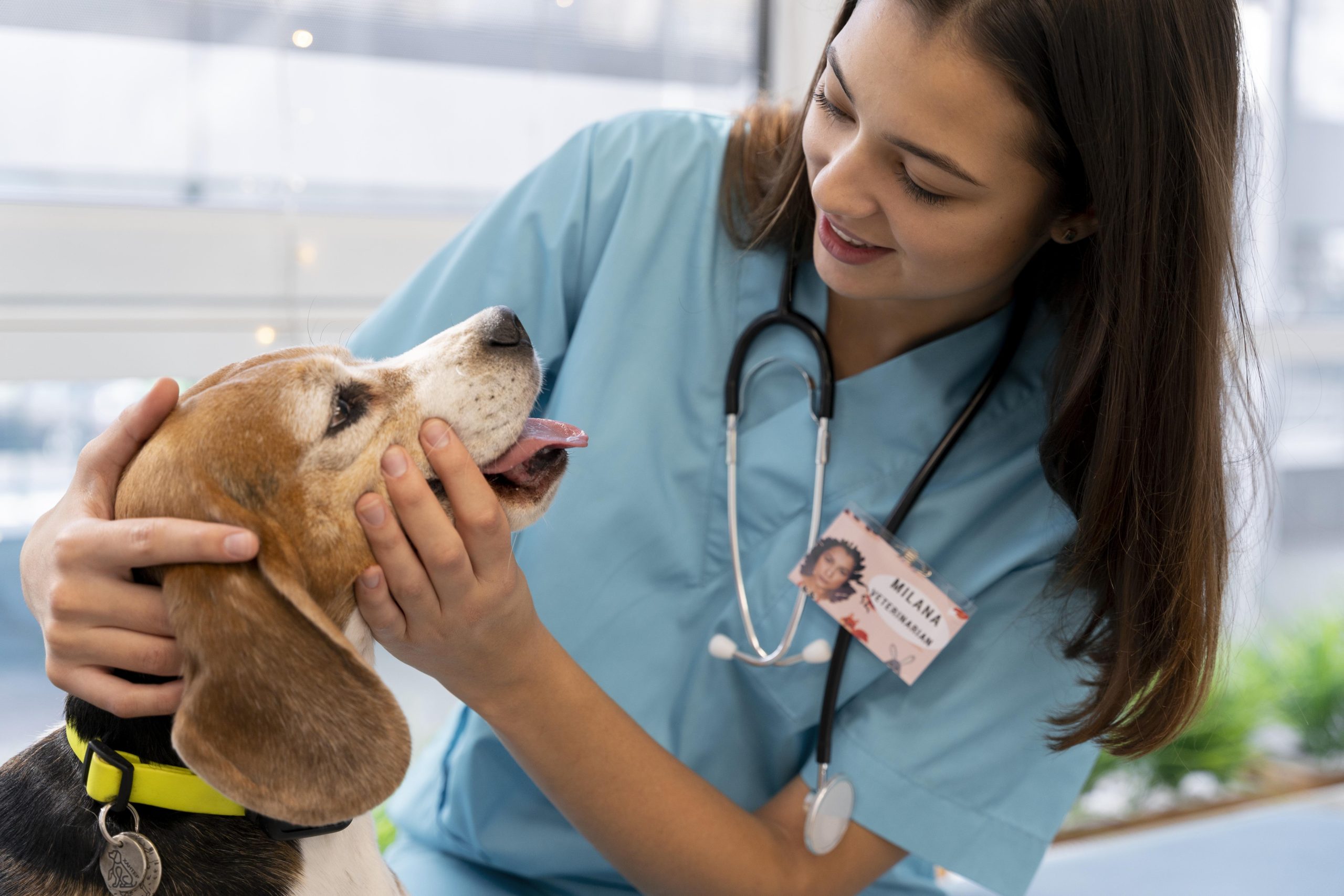 Zoonose: o que é e como evitar que seu pet se contamine?