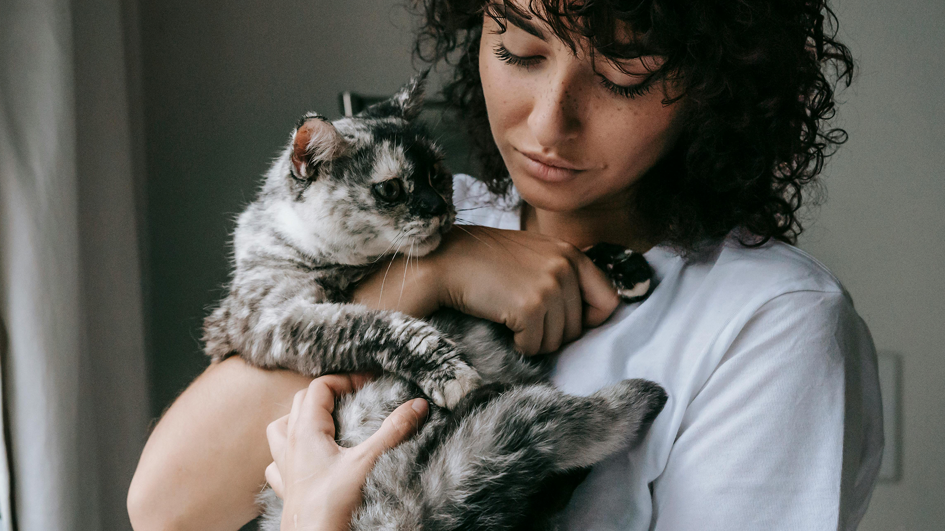 Pare de fazer isso com seu pet: erros que podem comprometer a saúde dele