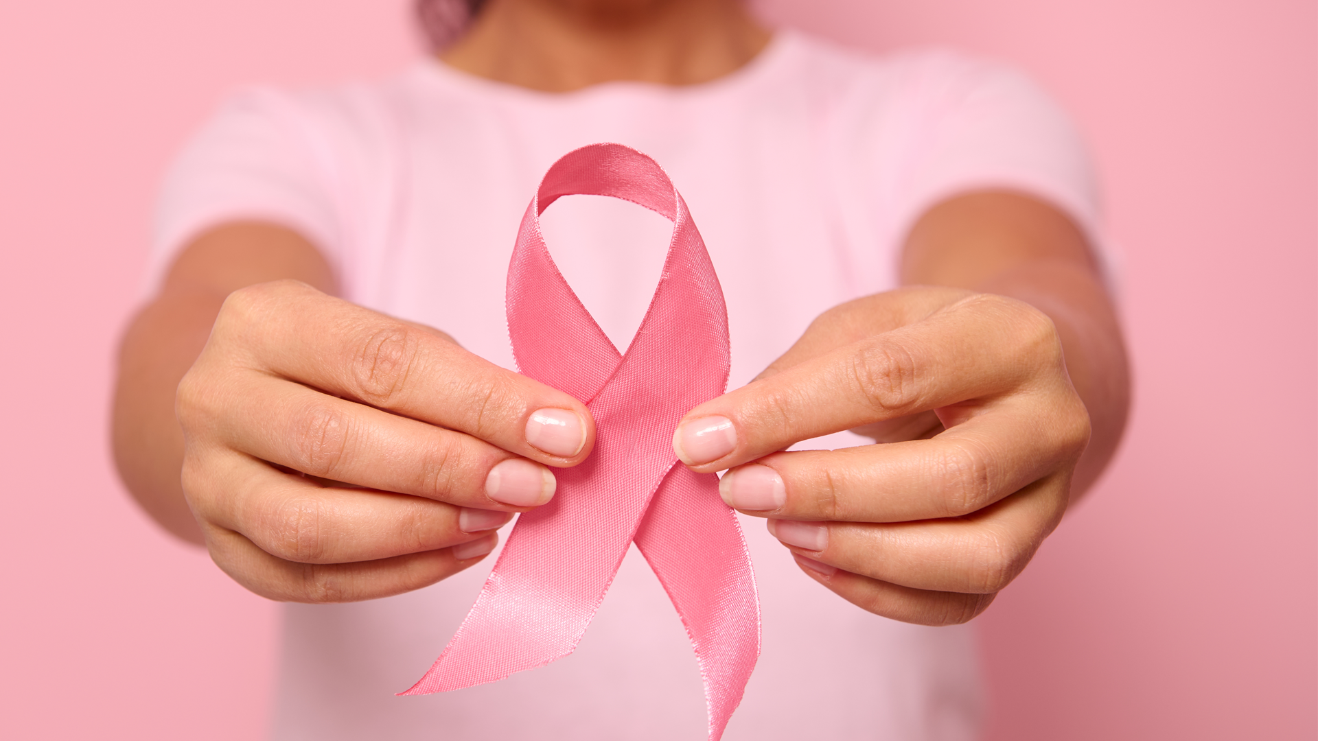 Outubro Rosa Pet: Um guia sobre a saúde reprodutiva da fêmea